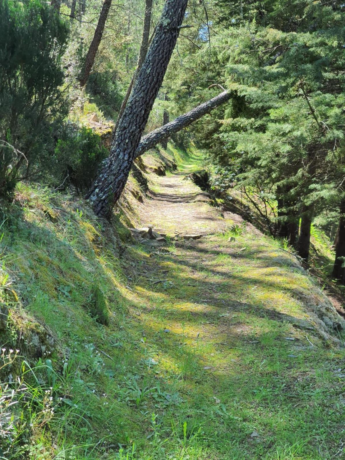 Quinta Dos Avos Lourenco * Serta